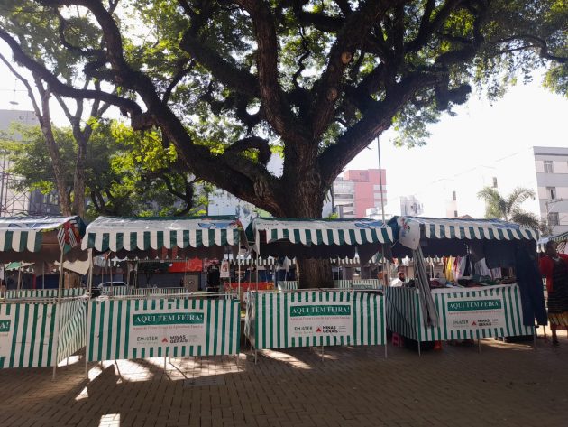 Feira de produtos artesanais e orgânicos ocorre pela primeira vez no Jardim Botânico