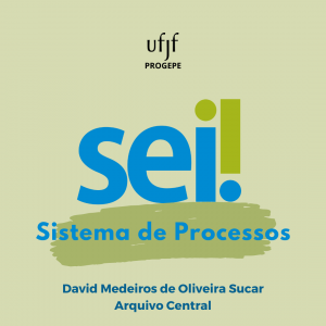 Sei, sistema de processos. Produzido por David Medeiros de Oliveira Sucar.