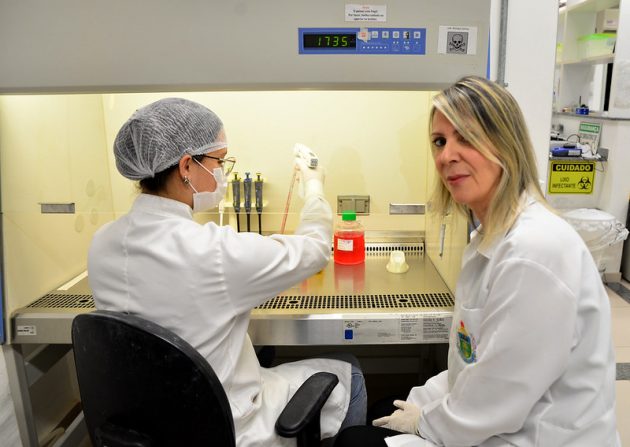 Estudo desenvolve composto para combate a doenças inflamatórias severas