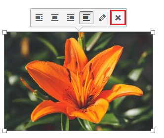 Imagem das opções que aparecem ao se clicar na foto com o botão Remover em destaque