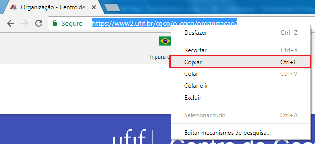 Imagem da barra de endereço do navegador com o link completo de uma página interna selecionado e a opção Copiar em evidência
