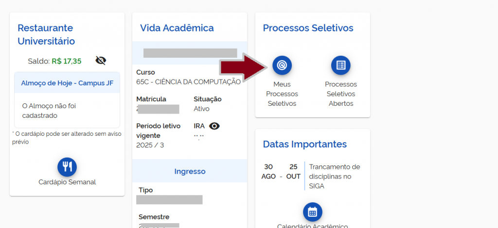 Meus processos seletivos